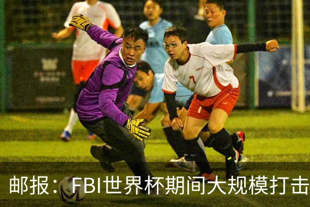 邮报：FBI世界杯期间大规模打击无人机活动，一名非法移民被捕